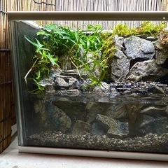 水の流れる滝テラリウム水槽