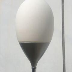 JM19664S)★大特価★フロアスタンドライト DAIKO 直径：約26cm 高さ：約170cm  中古品【取りに来られる方限定】の画像