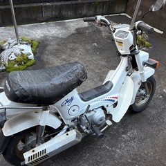 ホンダシャリー50ccの画像