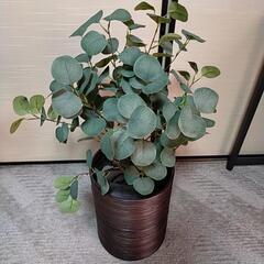 人工 観葉植物 ユーカリ 小 ①