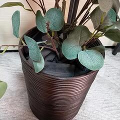 人工 観葉植物 ユーカリ 小 ①の画像