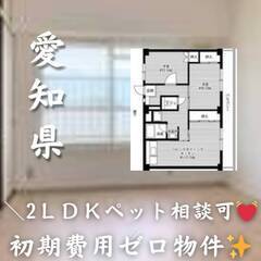 愛知県額田郡幸田町 　初期費用ゼロ　家賃54000円　生活保護可...