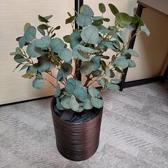 人工 観葉植物 ユーカリ 小 ②