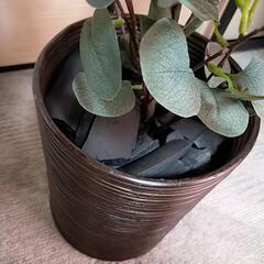 人工 観葉植物 ユーカリ 小 ②の画像