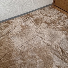 ラグ