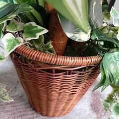 人工 観葉植物 ドラセナの画像