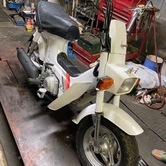 角目シャリー50⭐︎CF50