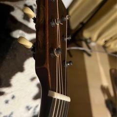 ピックアップ付 マーチン Martin000-15M Street Master PU :SKYSONIC T902 の画像