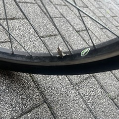 24インチ　シマノ　自転車　６段変速付き！の画像