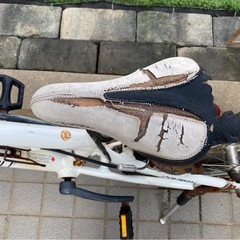 LOUIS GARNEAU  　ルイガノ　自転車　ジュニア　子供 用の画像