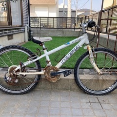 LOUIS GARNEAU  　ルイガノ　自転車　ジュニア　子供 用の画像