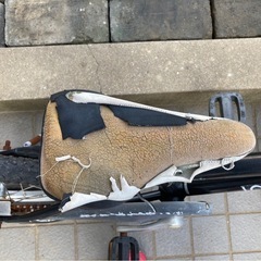 LOUIS GARNEAU   ルイガノ　自転車　ジュニア　子供用の画像