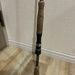 DAIWA  AIR EDGE  691LSの画像