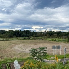 ソフトボール　募集します