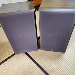 YAMAHA　NS451改　の画像