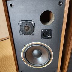 YAMAHA　NS451改　の画像