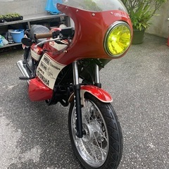 SRV250 ルネッサ　4DN5の画像