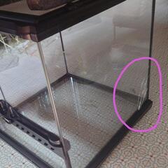 訳アリ　ジェックス　グラステラリウム 3030の画像