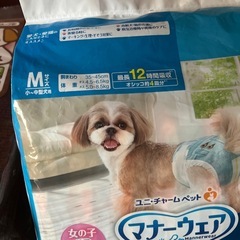 タイルカーペット　ペット用　マット　絨毯　犬猫の画像