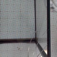 訳アリ　ジェックス　グラステラリウム 3030の画像