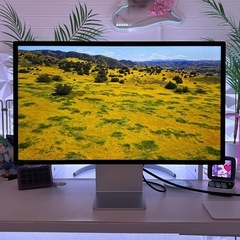 極美品】Apple Studio Display 標準ガラス