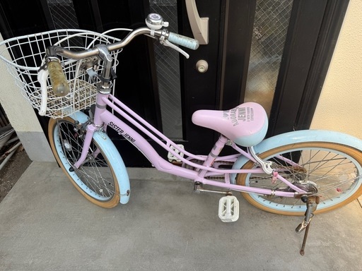 希少❗️フィロデンドロン グロリオーサムゼブラ✨ フィロデンドロン