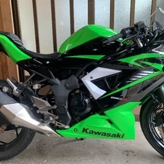 Ｎｉｎｊａ　２５０ＳＬ　の画像