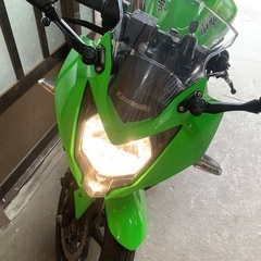 Ｎｉｎｊａ　２５０ＳＬ　の画像