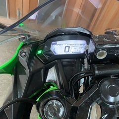 Ｎｉｎｊａ　２５０ＳＬ　の画像
