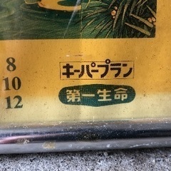 平成7年のディズニーのカレンダー　第一生命　フォトフレームの画像