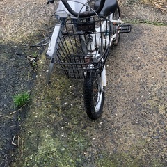 rapor　子供用自転車