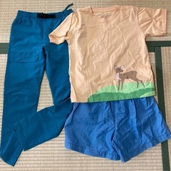 子ども服　キッズ　女子　130と140  Tシャツ（無印良品含）ズボン、水着の画像