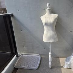 マネキン無料です。の画像