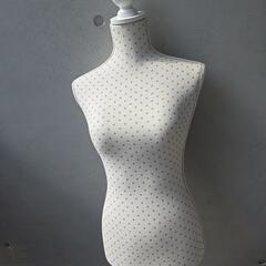 マネキン無料です。