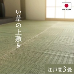 34m い草 上敷き カーペット 格子柄【グラッセ】 江戸間 3...