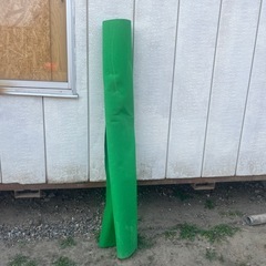 カーペット？の画像