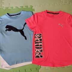 140サイズ　プーマ　PUMA　Tシャツ　2枚　ビッグ キャット