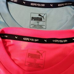 140サイズ　プーマ　PUMA　Tシャツ　2枚　ビッグ キャットの画像