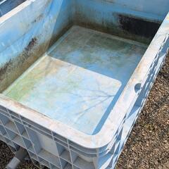 早い者勝ち！中古ダイライト1000L コンテナ水槽