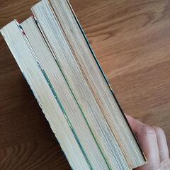 美内すずえ マンガセットの画像