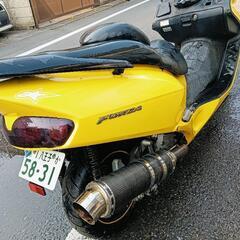 フォルツァmf06の画像