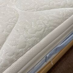magniflex　オクラホマ（SD）の画像