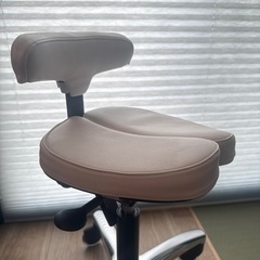 アーユル・チェアー プレミアムモデル 別売ホワイトカバー 脚パーツ付の画像