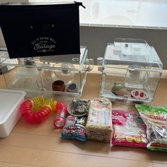 3万円相当】ハムスター 飼育セット お迎えセット