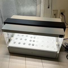 水耕栽培 ユーイング グリーンファーム