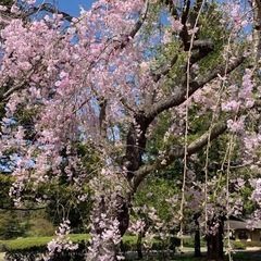 【カウンセリング生きづらさとお別れ☀️】