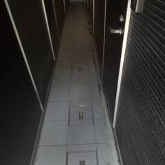 高圧洗浄をしてくれるかた、草むしりをしてくれるかたを探しています - 手伝って/助けて