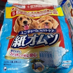 小型犬用おむつ
