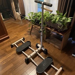 レッグマジック　の画像
