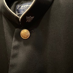 南高　制服　校章ボタン付きの画像